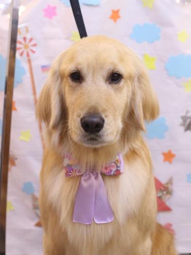 20240510アネラちゃん